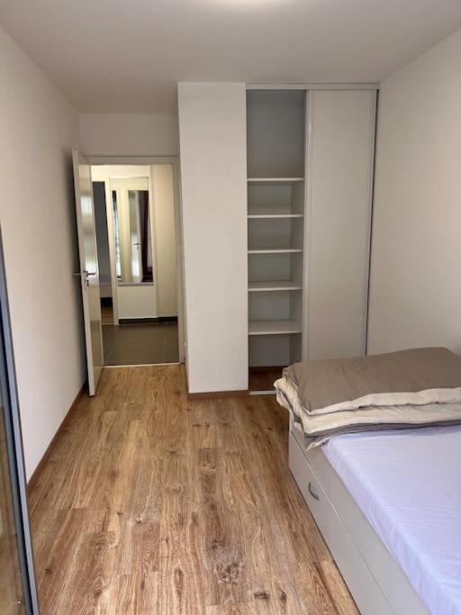 Appartement Red Jardin Tres Calme Сен-Луї Екстер'єр фото